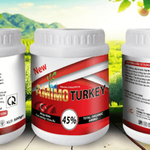 amin-turkey -bot