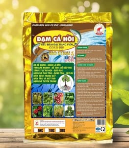 dam-ca-hoi-10-kg
