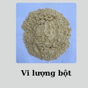 vi-luong-bot