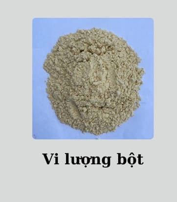vi-luong-bot