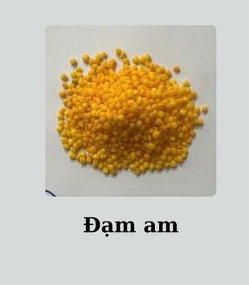 dam-am