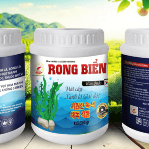 rong-bien-bot