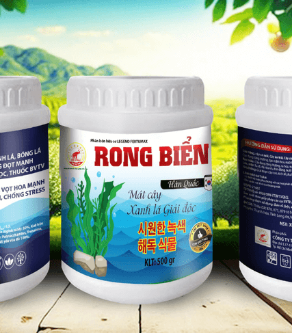 rong-bien-bot