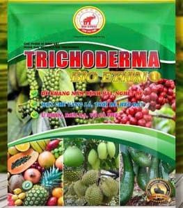 tricho-derma-bot