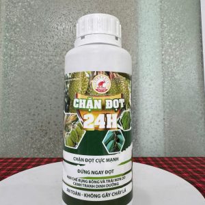 Chặn đọt 24h