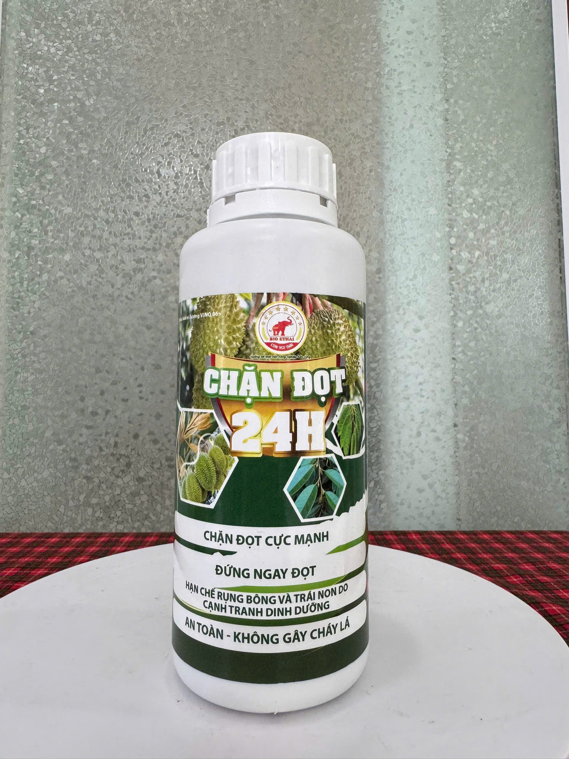 Chặn đọt 24h