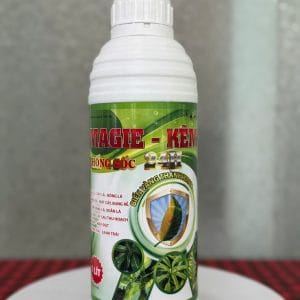 Magie kẽm
